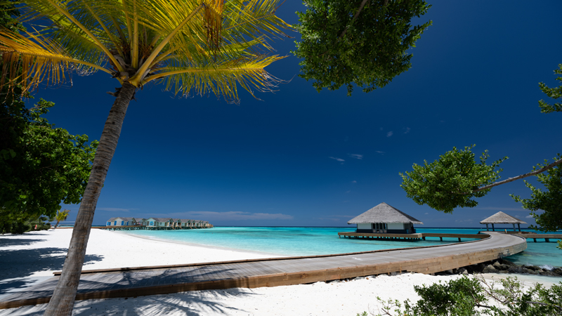 Drmmer du ocks om Maldiverna?